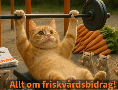 Allt om friskvårdsbidrag – regler, tips och inspiration
