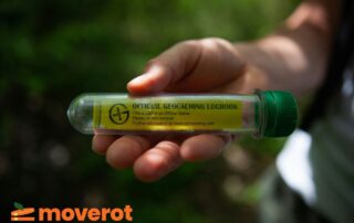Geocaching som vardagsmotion - Kul skattjakt med Moverot
