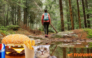 Vardagsmotion och kalorier