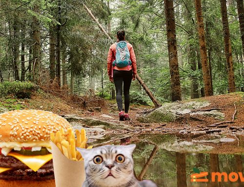 Vardagsmotion och kalorier – Så mycket bränner du