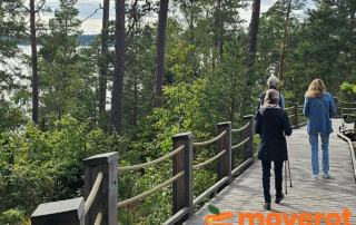 Vardagsmotion med promenader