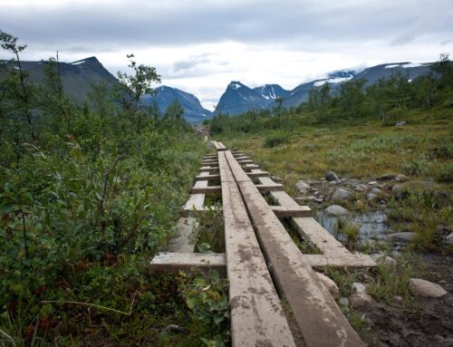 Sveriges populäraste vandringsleder – 5 fantastiska tips