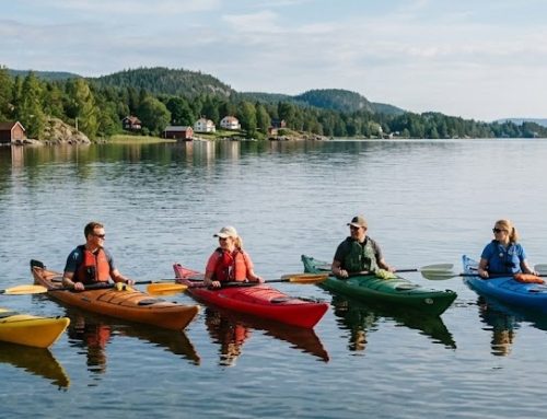 Kajak och paddling – få vardagsmotion och träning på sjön